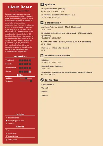 Müzik Öğretmeni Cv Örnekleri cv indir